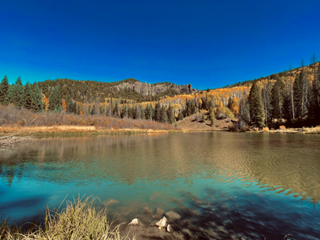 Lake surrounded by trees and mountains under a clear blue sky